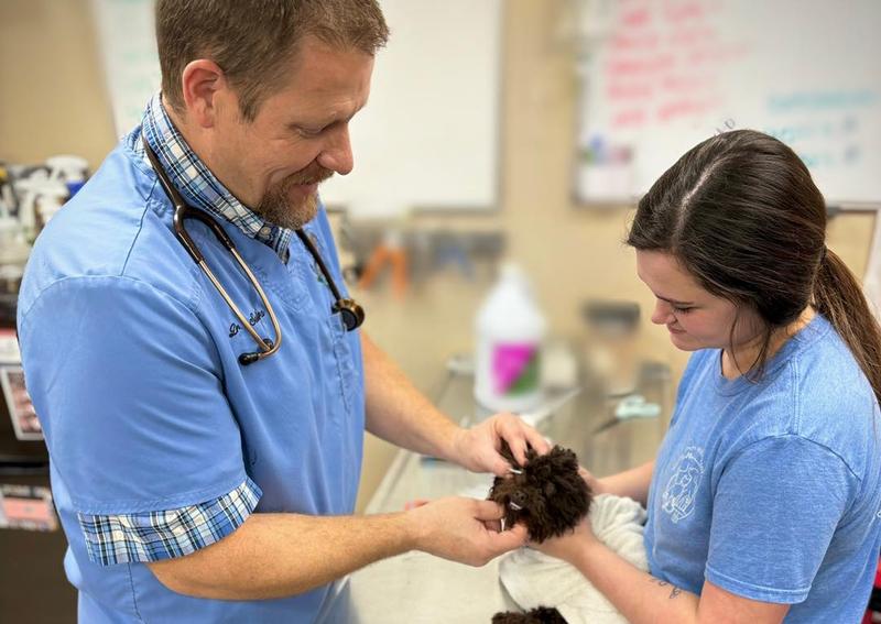 Carousel Slide 2: Schirmer's tear test and more!