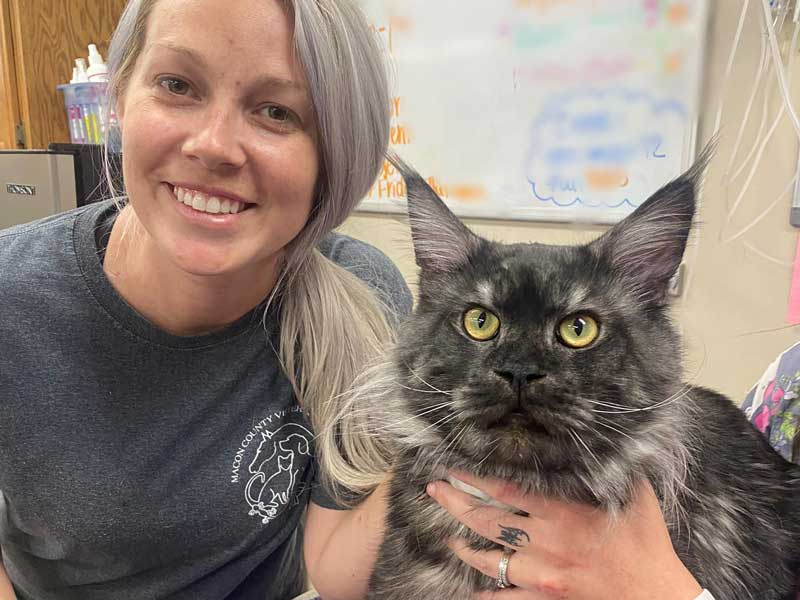 Veterinary Jobs in Lafayette