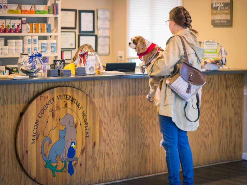 Lafayette Pet Hospital