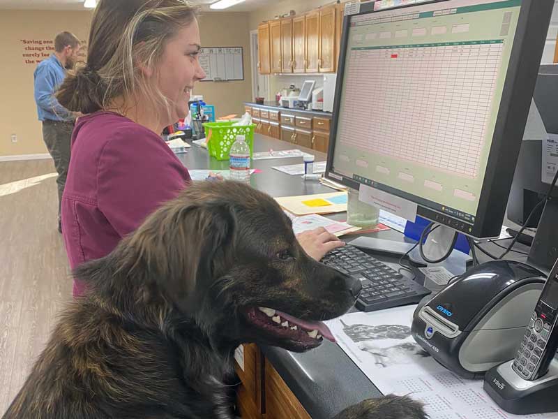 Macon County Veterinary Hospital Policies